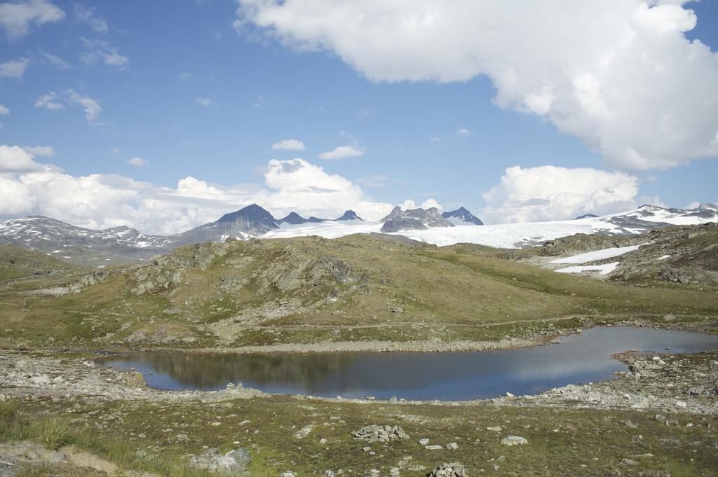 Dalsoren Camping Og Hytter Luster Exterior foto